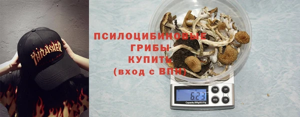 ПСИЛОЦИБИНОВЫЕ ГРИБЫ Алексеевка