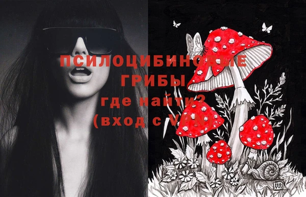 ПСИЛОЦИБИНОВЫЕ ГРИБЫ Алексеевка