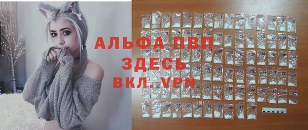 apvp Алексин